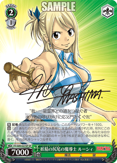 FAIRYTAIL ルーシィ スリーブ almamaster.lt