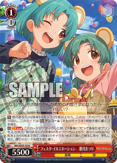 フェスタ・イルミネーション　徳川まつり