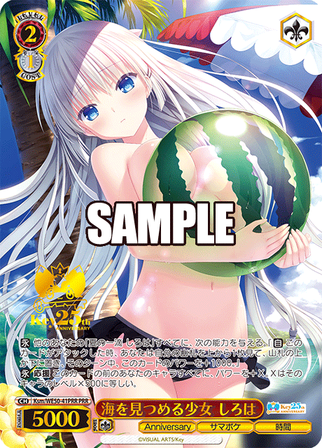 海を見つめる少女 しろは