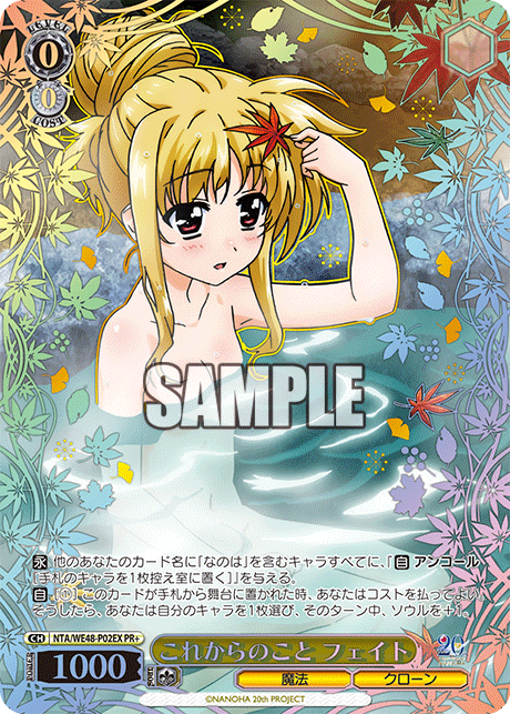 これからのこと フェイト