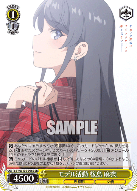 モデル活動 桜島 麻衣