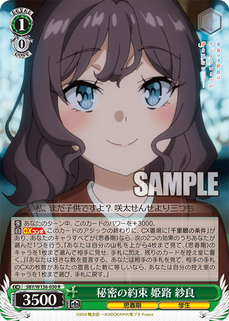 秘密の約束 姫路 紗良