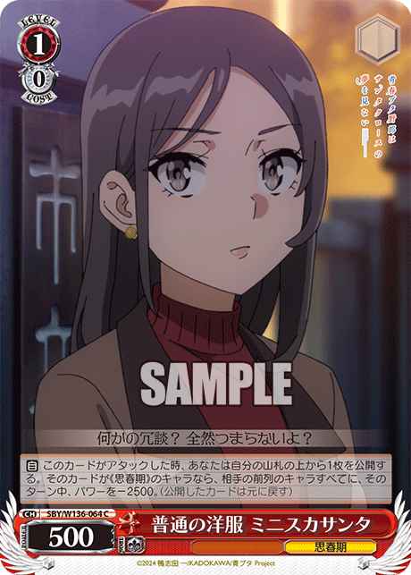 普通の洋服 ミニスカサンタ