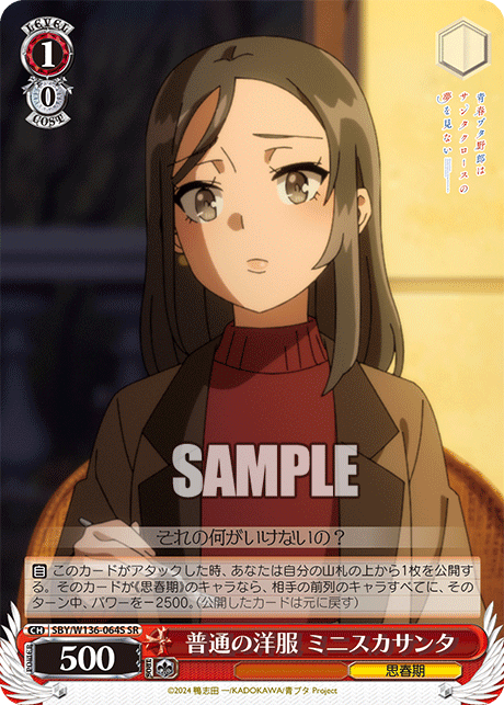 普通の洋服 ミニスカサンタ