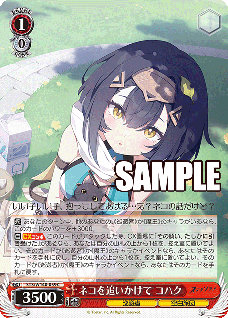 ネコを追いかけて コハク
