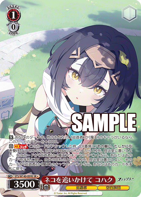 ネコを追いかけて コハク