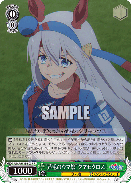 “芦毛のウマ娘”タマモクロス