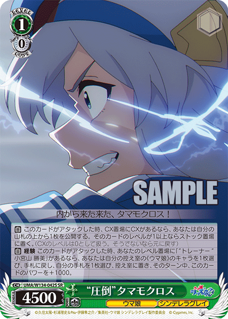 “圧倒”タマモクロス