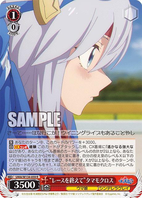 “レースを終えて”タマモクロス