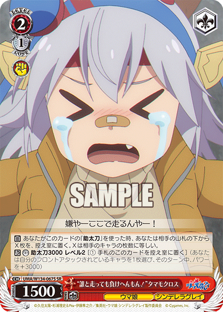 “誰と走っても負けへんもん！”タマモクロス