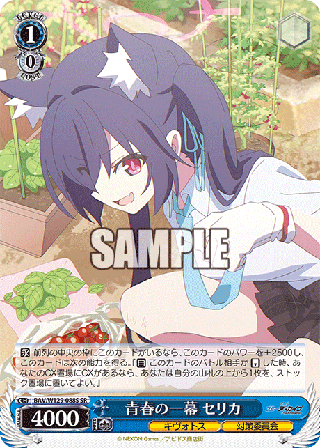 今日のカード